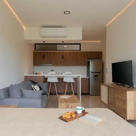 Amazing Loft With Sky Pool In Aldea Zama Tulum Apartment